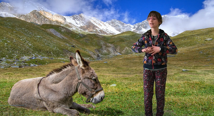 A burra que cruzou o río - Alma, CEIP Lamas de Abade