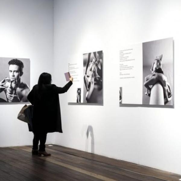 Sala da exposición Tigres coma cabalos no Museo do Pobo Galego