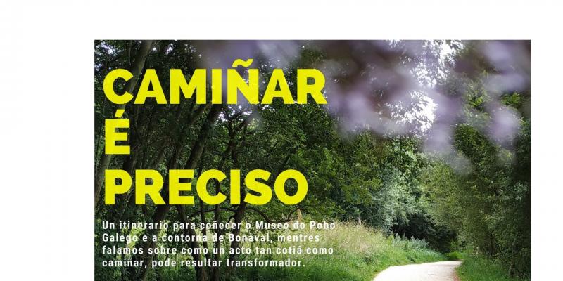 Cartel "camiñar é preciso"