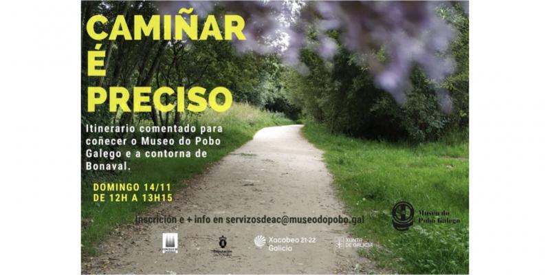 camiñar é preciso outono