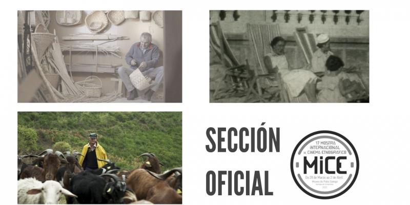seccion oficial peliculas galegas