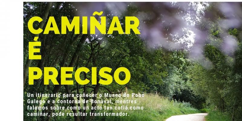 cartel camiñar é preciso