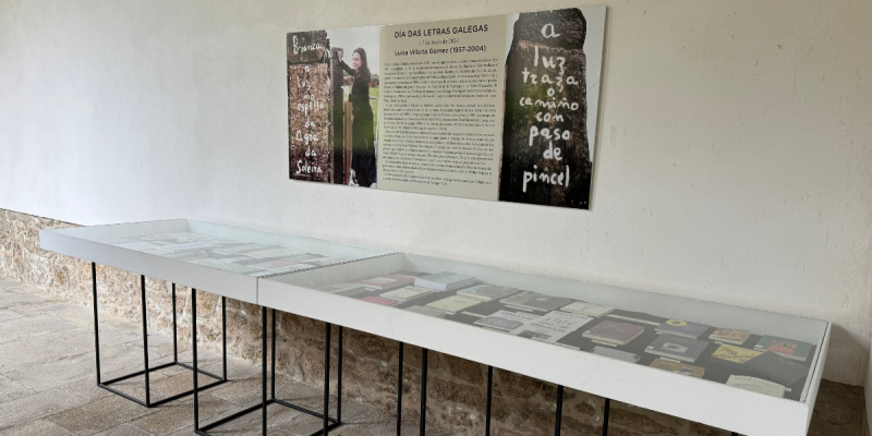 Mostra bibliográfica Luísa Villalta