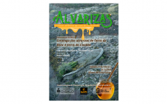 Presentación Catálogo das alvarizas de Terra de Deza e Serra do Candán