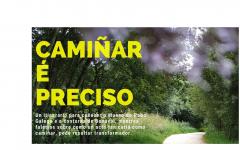 Cartel "camiñar é preciso"