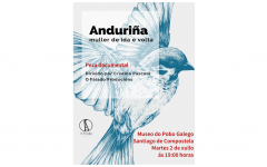 Anduriña muller de ida e volta