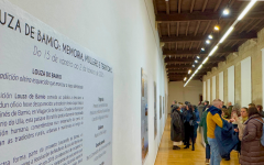Exposición Louza de Bamio
