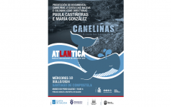 Caneliñas. A Costa das Baleas