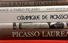 PABLO PICASSO na Biblioteca do Museo do Pobo Galego