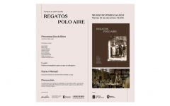 Regatos polo aire
