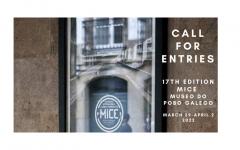 17 MICE call for entries