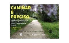 camiñar é preciso outono