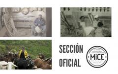 seccion oficial peliculas galegas