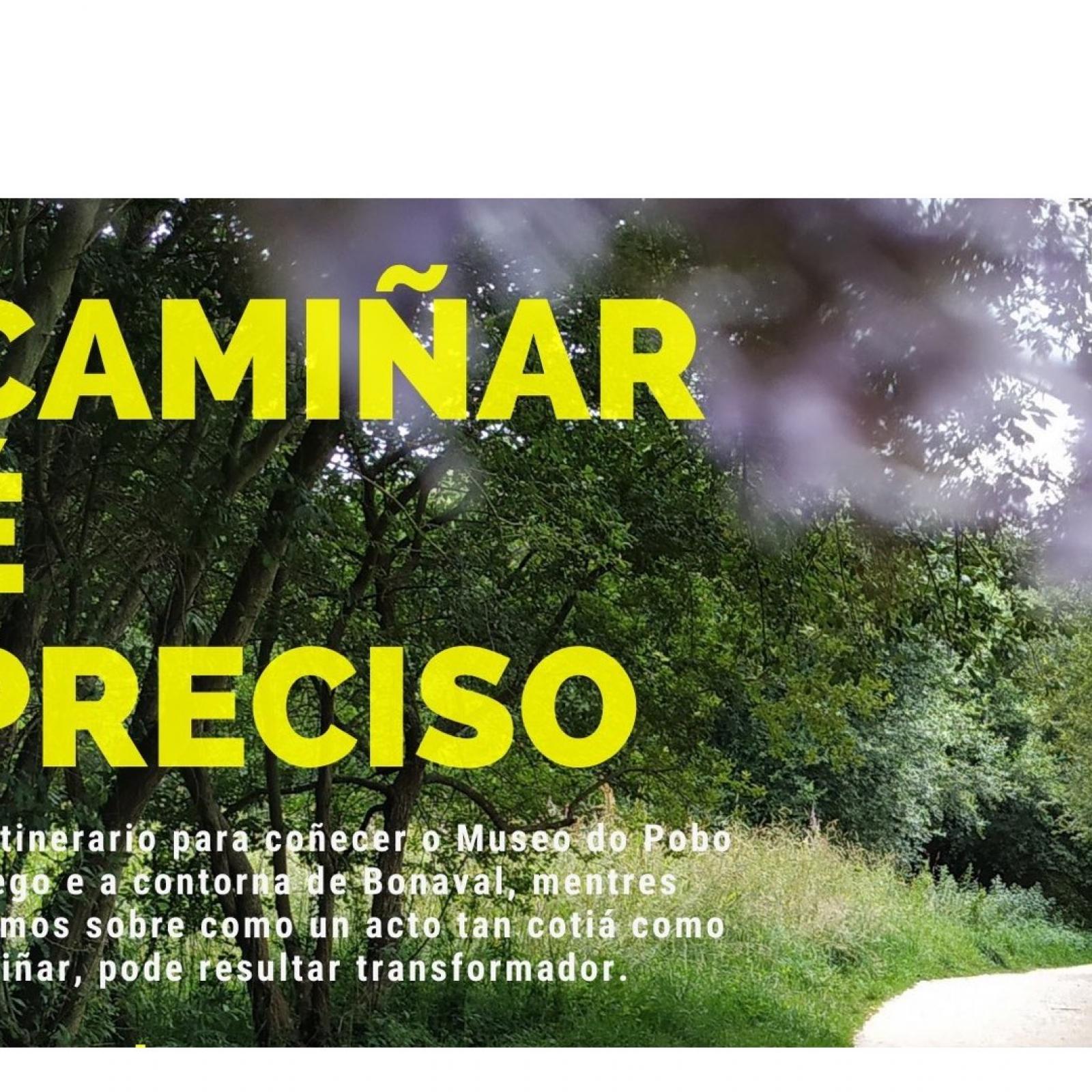 Cartel "camiñar é preciso"