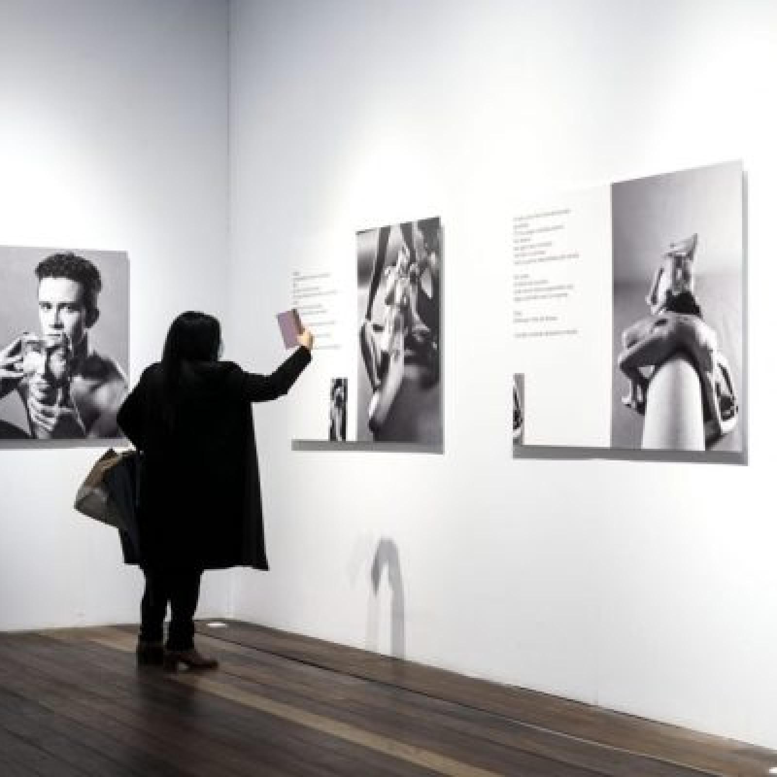 Sala da exposición Tigres coma cabalos no Museo do Pobo Galego