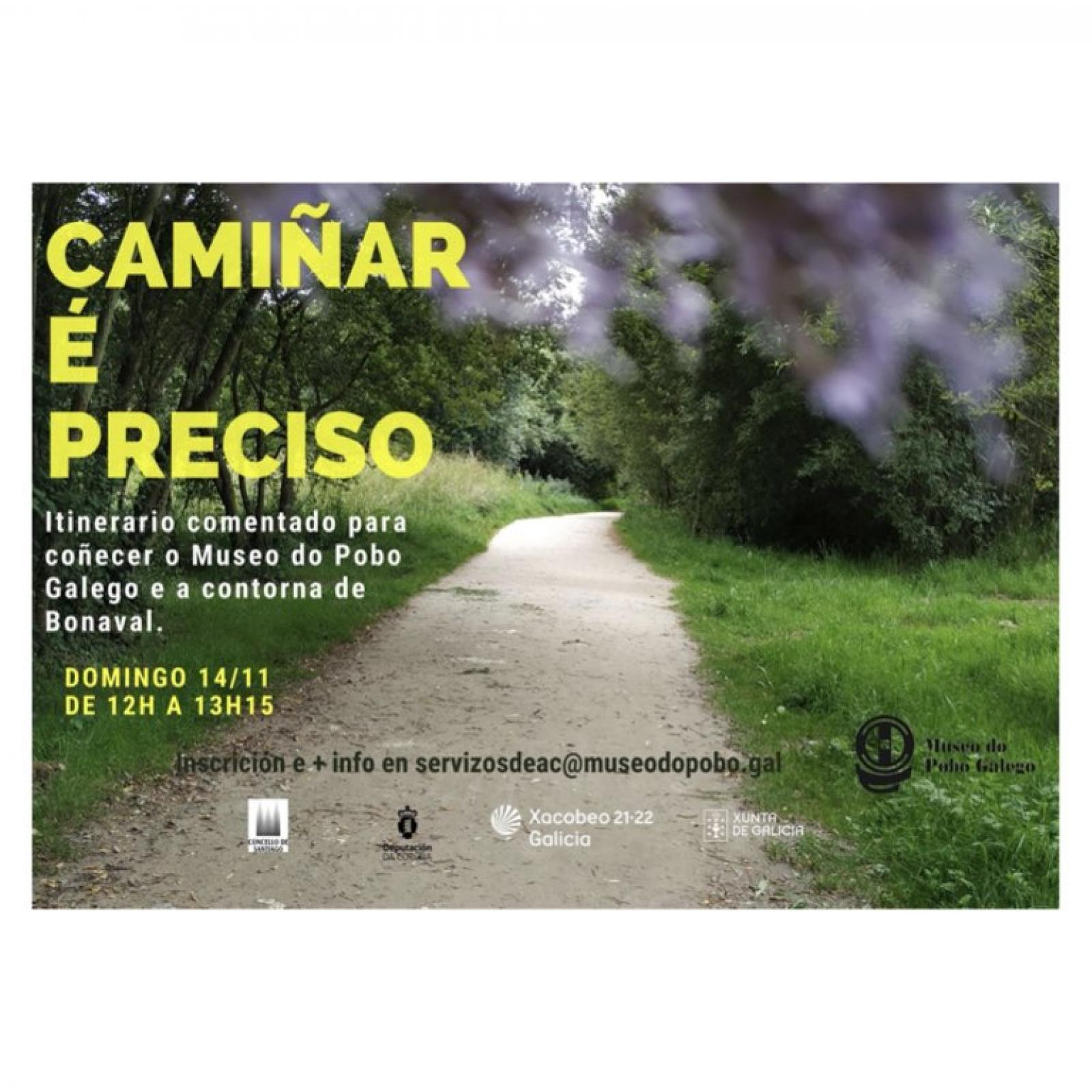 camiñar é preciso outono