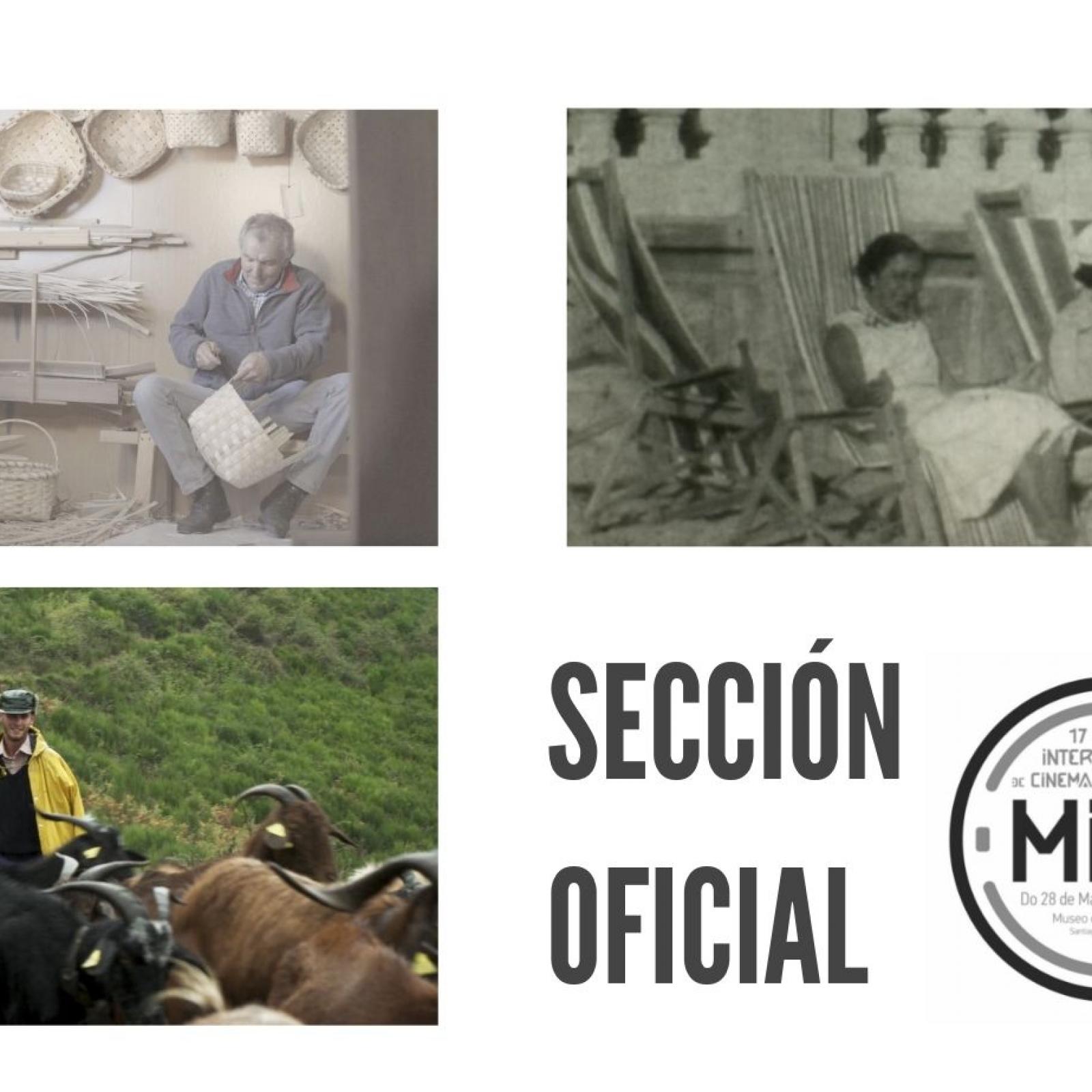 seccion oficial peliculas galegas
