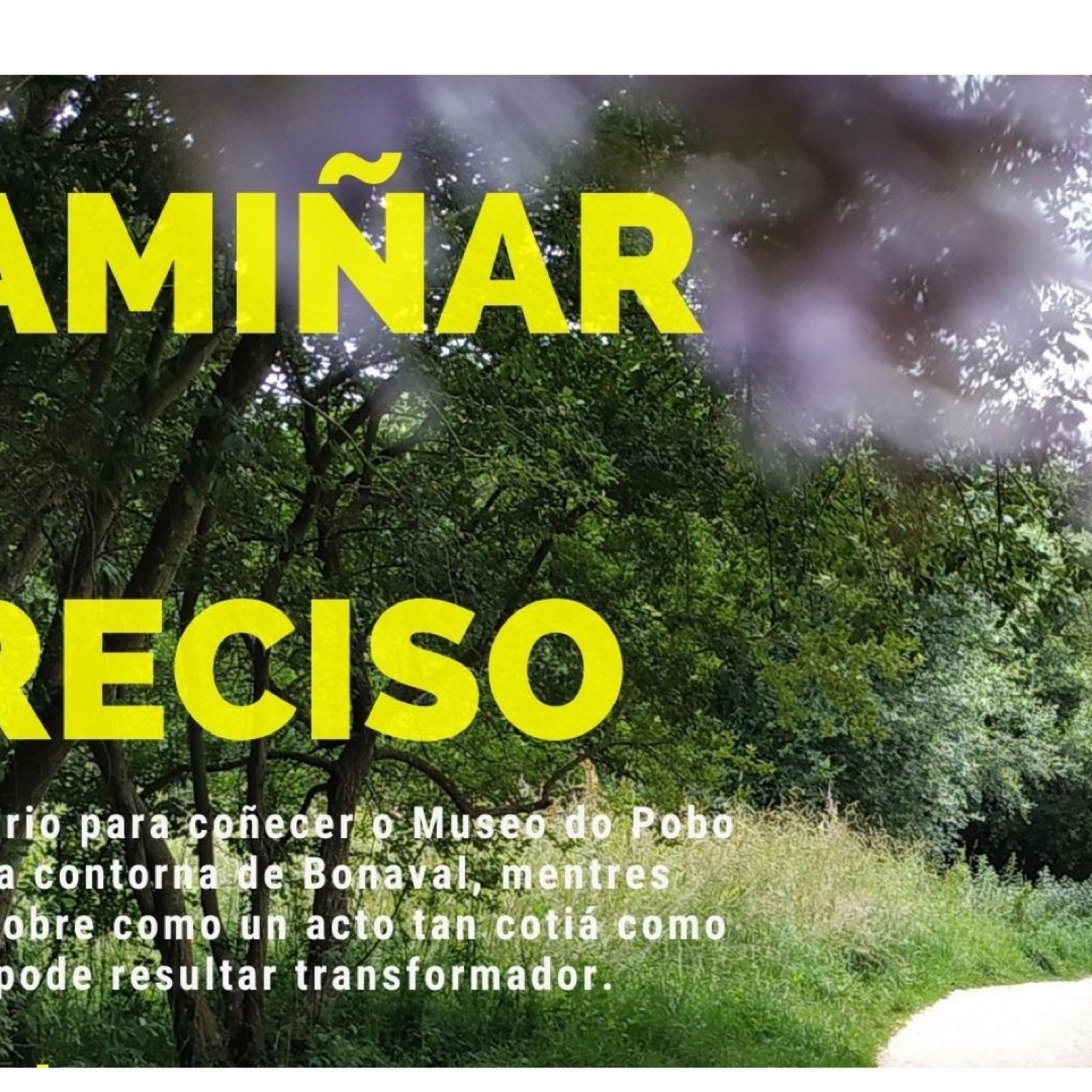 cartel camiñar é preciso