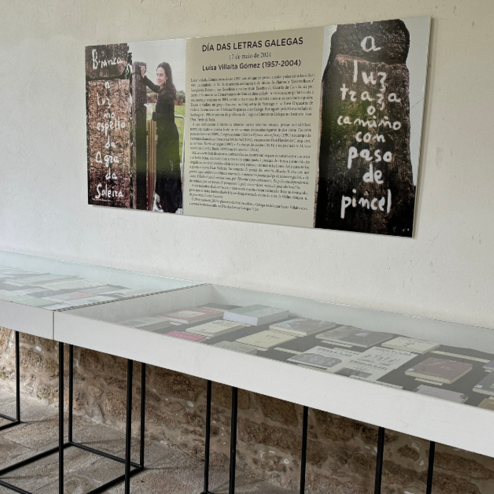 Mostra bibliográfica Luísa Villalta